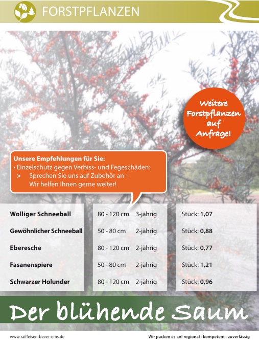 Forstpflanzen_Raiffeisen_S2_2019.jpg